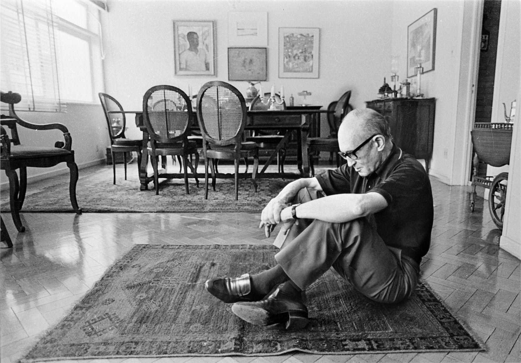 Carlos drummond de andrade próprio